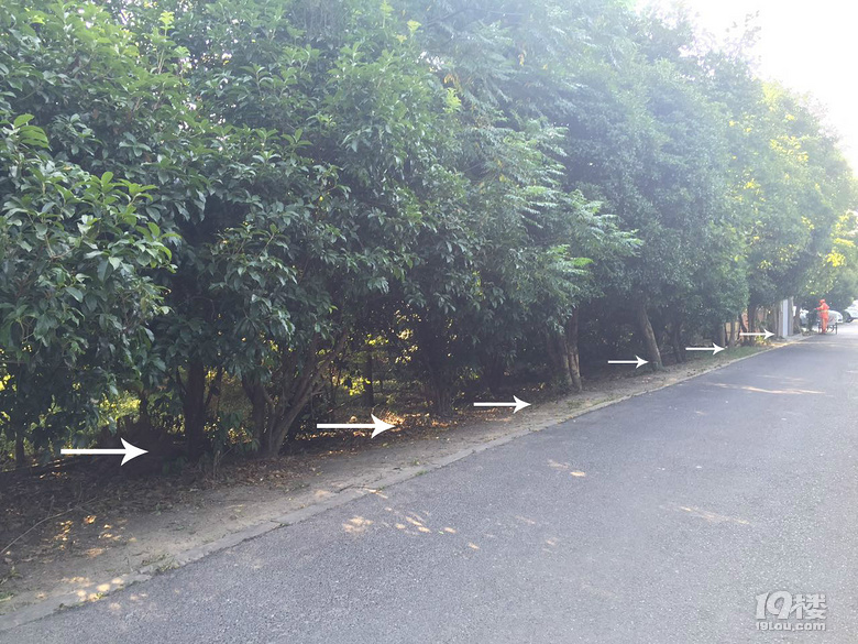 要去九溪玩的朋友請看過來~停車指南