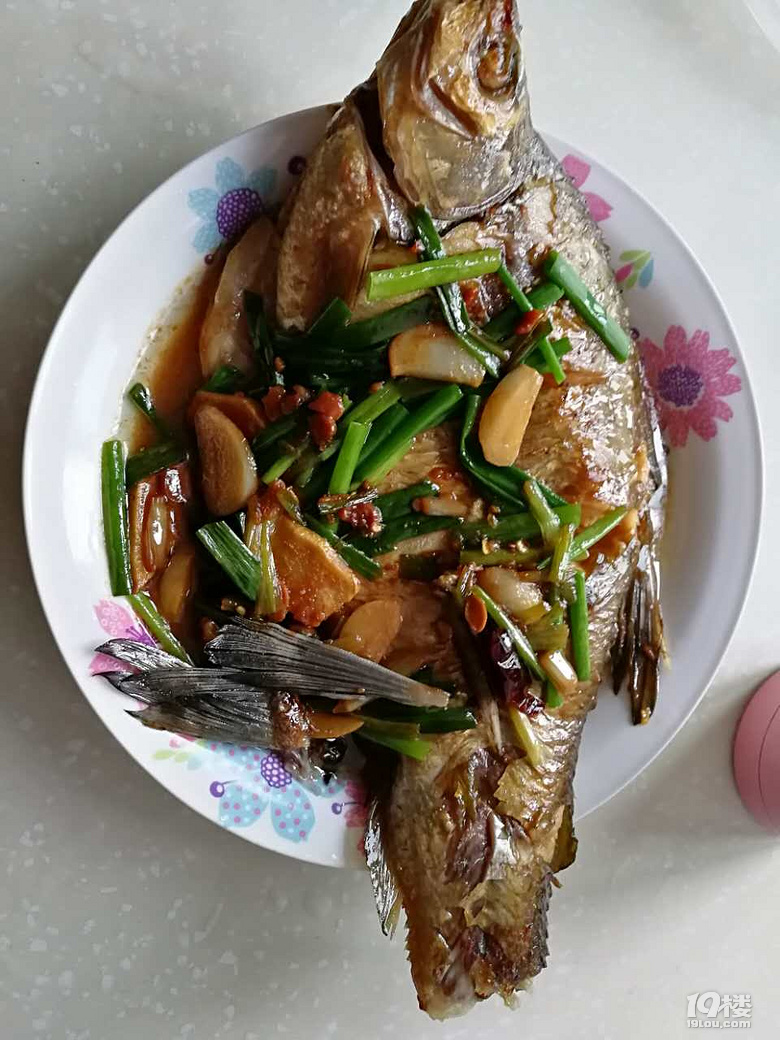 日食記