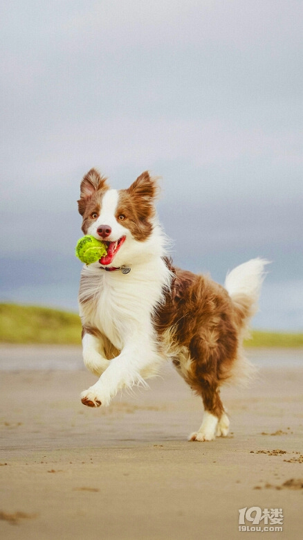 居然又到七夕了吗-爱在人间天堂-杭州19楼