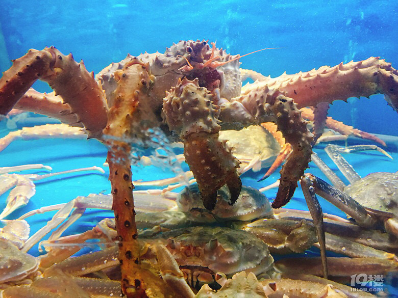 鲜活的鱼虾蟹都在水中吐着泡泡,虽然有些叫不