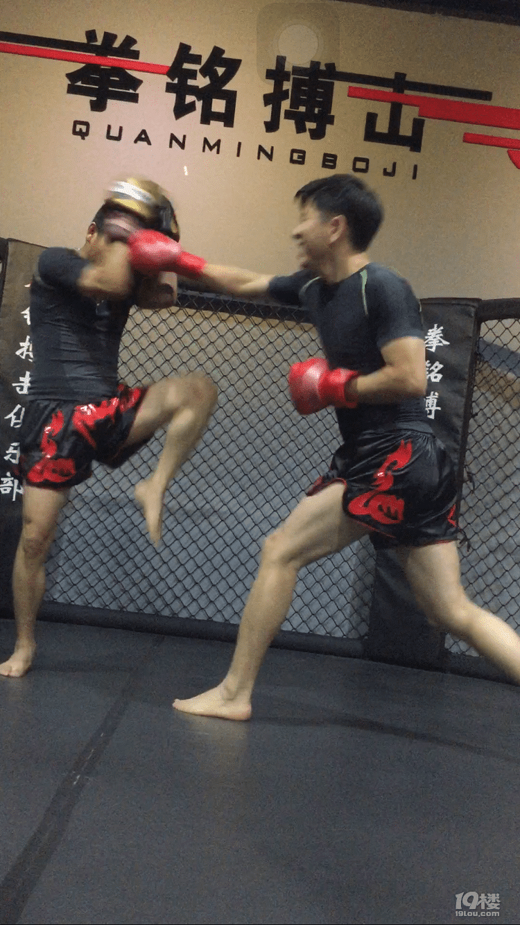 温州泰拳馆：现代搏击文化的魅力再现