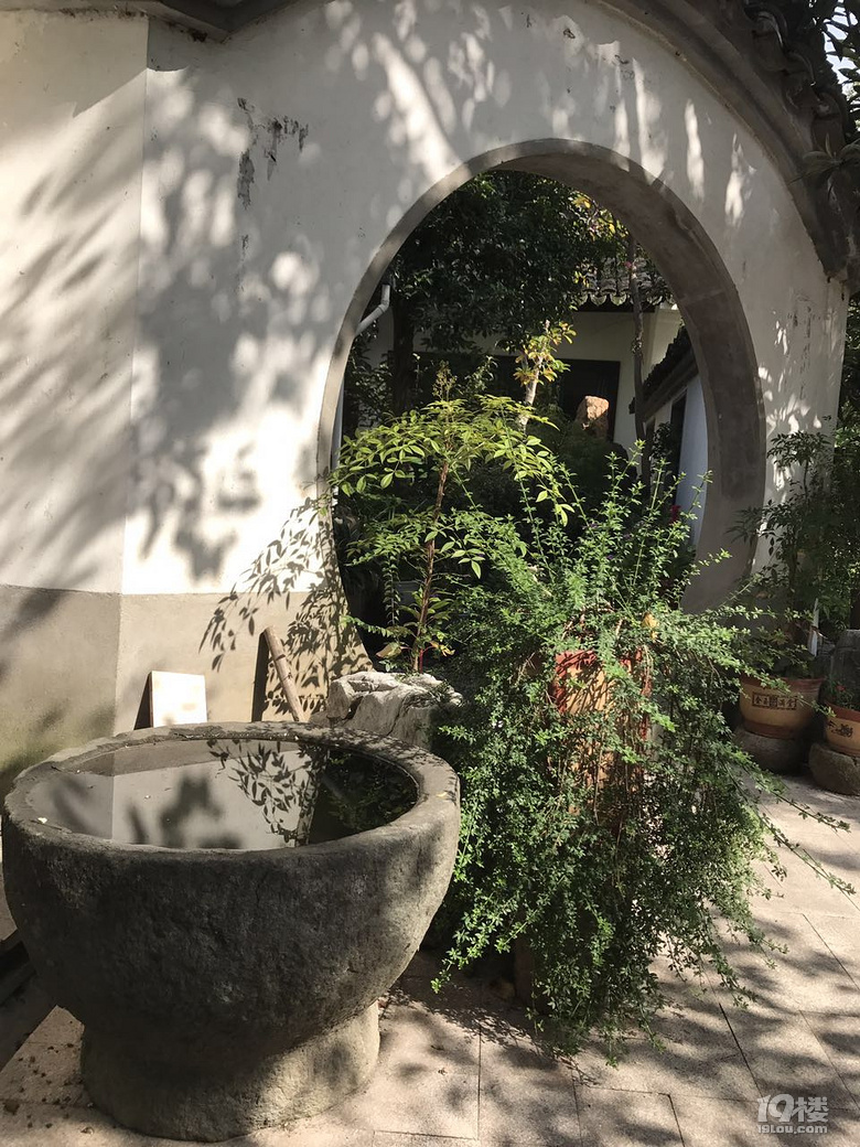 ܇ɞ(zi)! ƿ܇ɞ(zi), Ħ܇,Ħƿ܇(yu)Ȱl(f)չ! (sh)ڱ