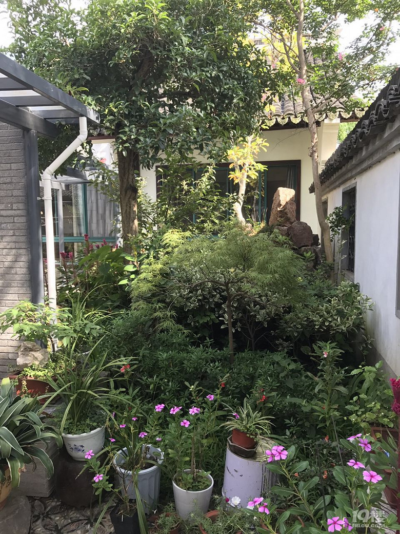 ܇ɞ(zi)! ƿ܇ɞ(zi), Ħ܇,Ħƿ܇(yu)Ȱl(f)չ! (sh)ڱ