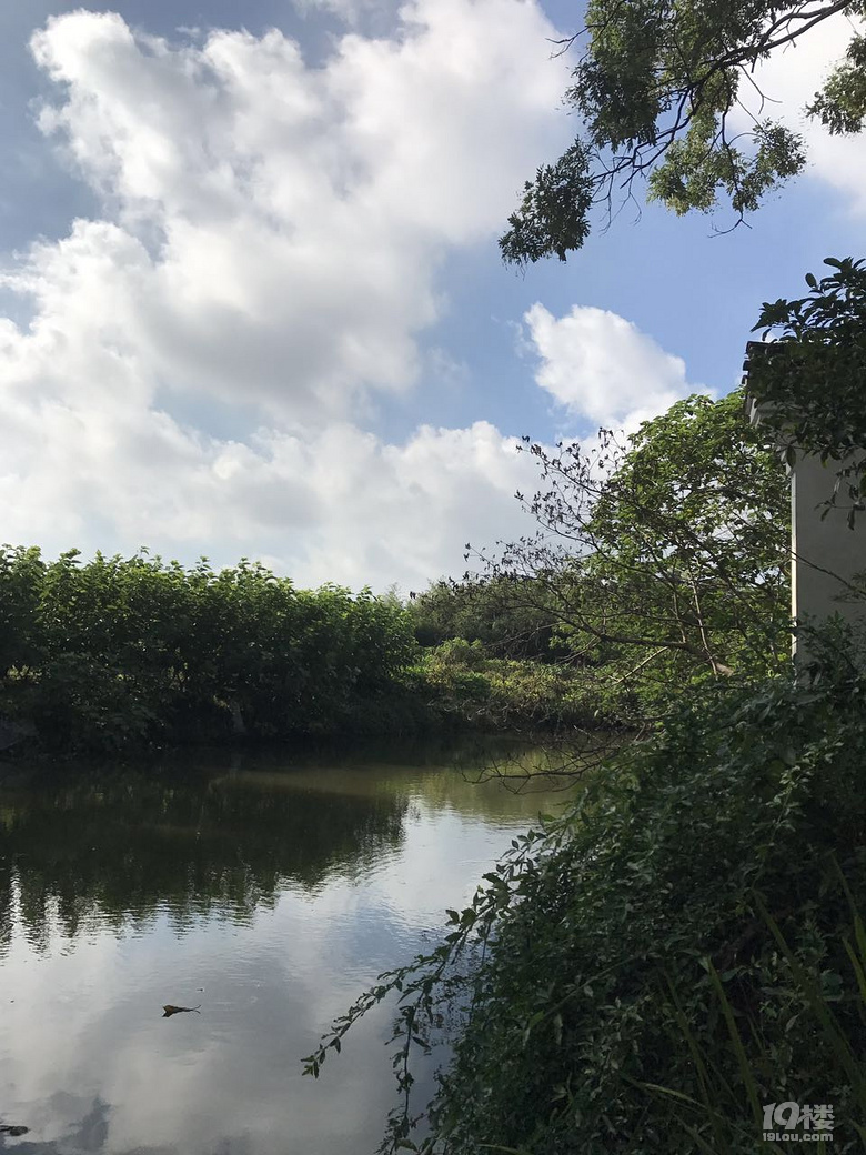 ܇ɞ(zi)! ƿ܇ɞ(zi), Ħ܇,Ħƿ܇(yu)Ȱl(f)չ! (sh)ڱ