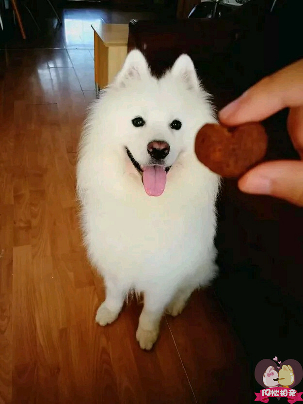 长的丑,想的美,没人追,还能吹_相亲嘉年华__