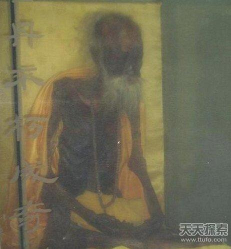 每日奇闻