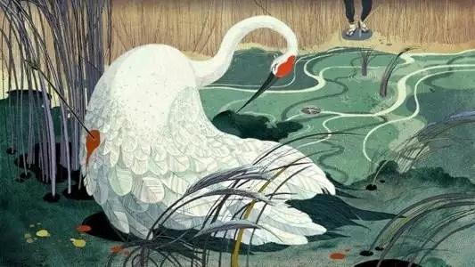 苏步青:语文是成才的第一要素_嘉兴教育__杭州