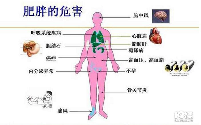 膝蓋疼痛不求人,3個(gè)洋蔥1瓶酒