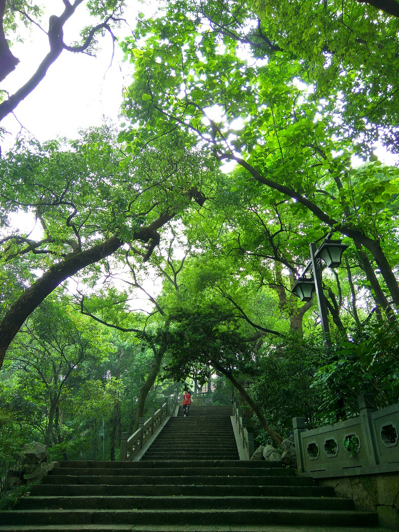 手机拍杭州——吴山景区