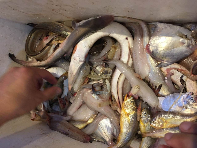 民宿自荐 杨柳海居_杭州人气民宿__跳蚤市场19楼