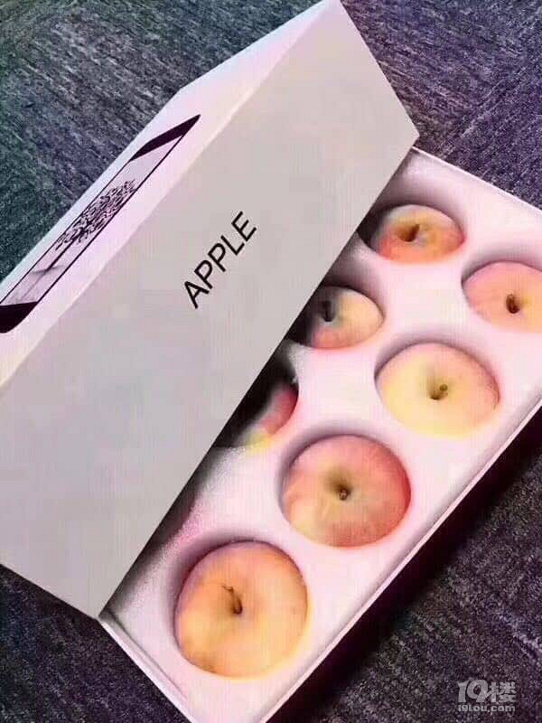 iphone8؛