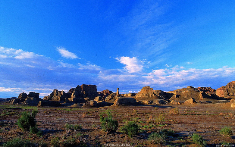 从食品机械推广软文,看怎么做网络推广、怎样
