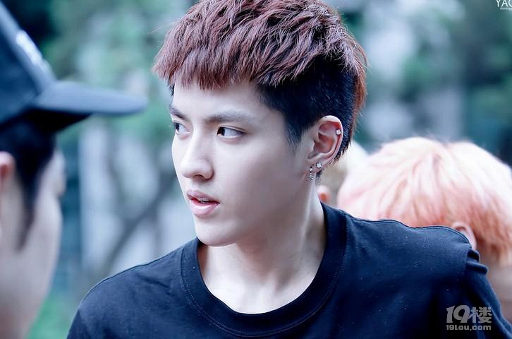 窦骁国籍原来是加拿大 还有他们也是加拿大国