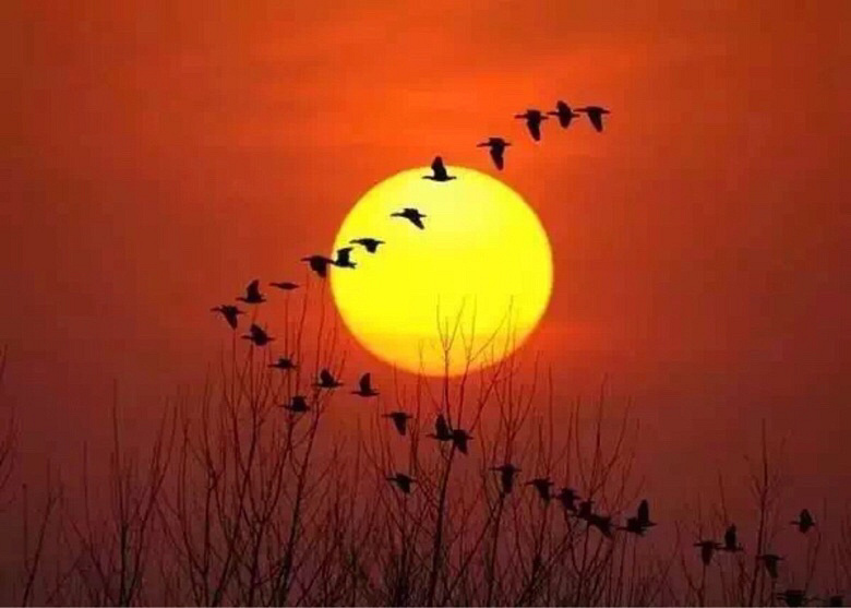 酒喝多了,好乱。人的一生会遇到很多人,也