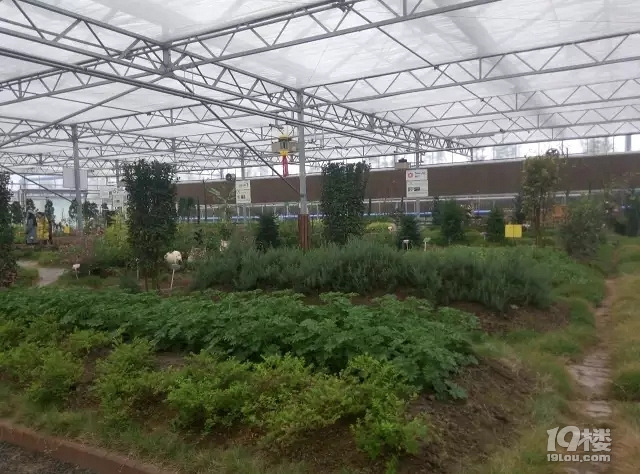 绿科秀成长亲子一日游-休闲商家自荐-杭州19楼