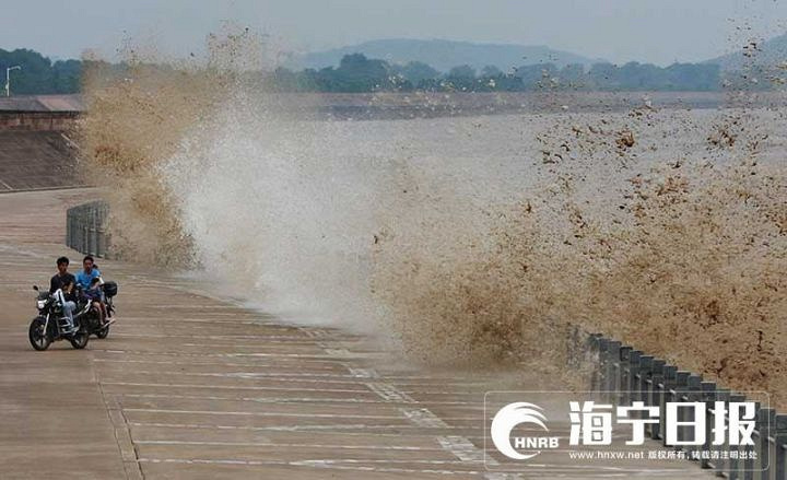 【直播】八月十八大潮现场震撼!今天,这群人乘