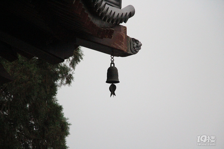 ʮһΡһǧ ӡ