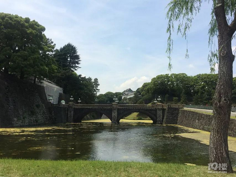 东京旅游跟团记