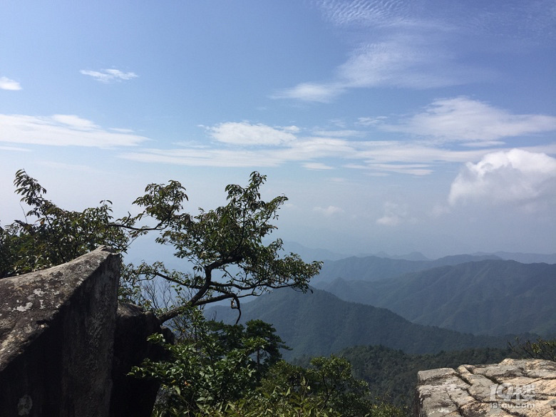 臨安天目山紅福農家