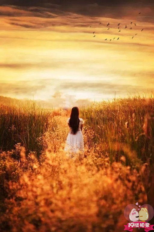 命运,是一个很飘渺的东西,有人相信命运,_单身