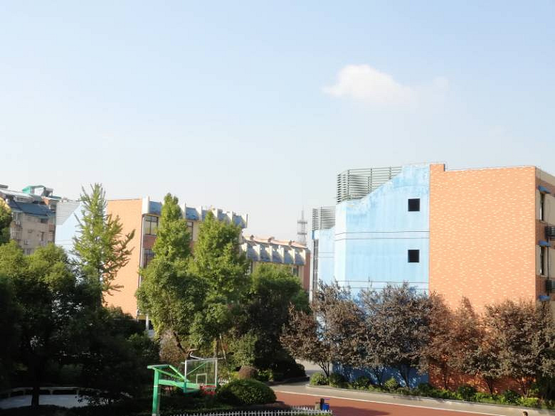 杭州市外语实验小学招聘代课老师啦_杭州求职