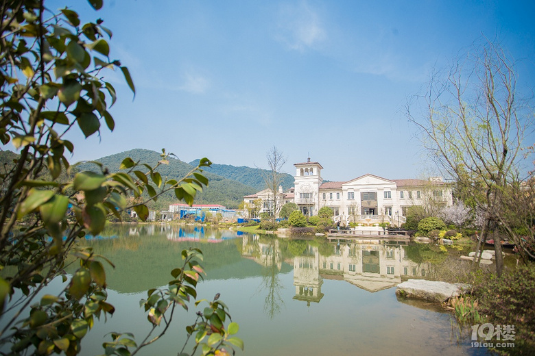 就是这个feel!百年港企,将生活艺术玩出新花样