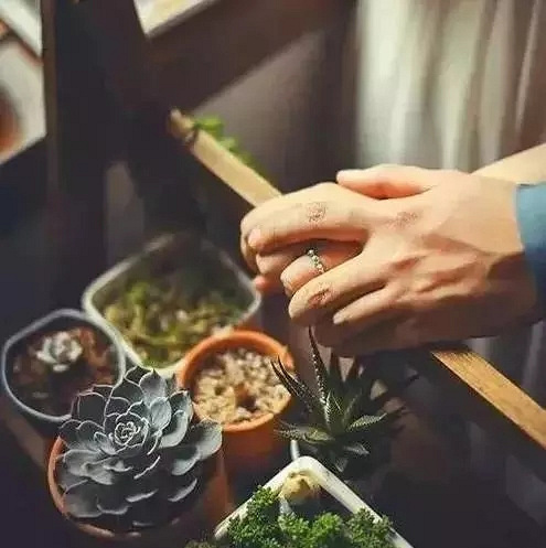 所谓的幸福就是一个笨蛋遇到一个傻瓜引