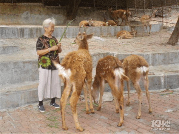 纪念我心中挚爱的地方