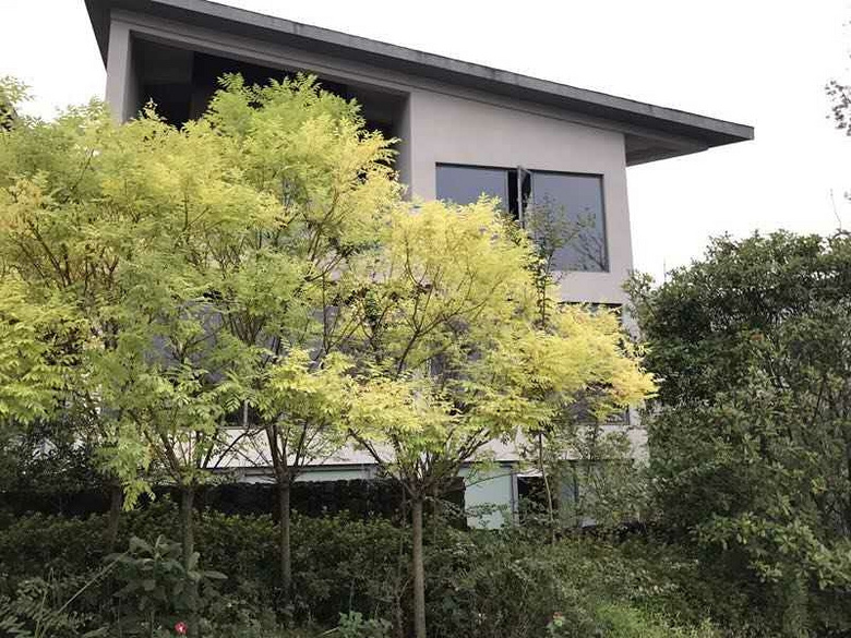 住宅排屋可落杭州户口2022年亚运会分会场千