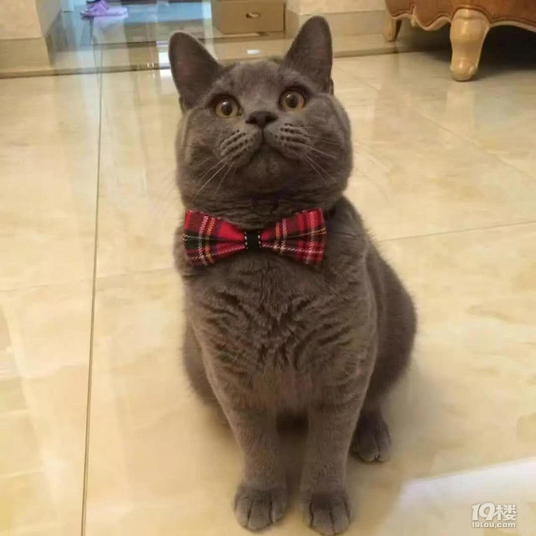 Ъ?w)ȌɵС°~