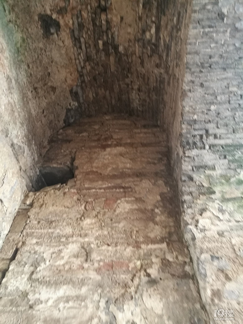 【乐游11】+建德一日游
