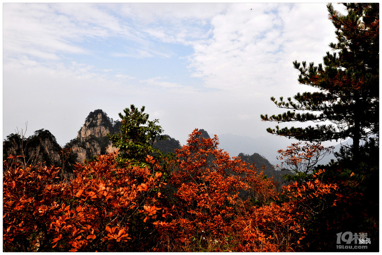 【杭州秋景地圖】秋天杭州景色哪里適合旅游?