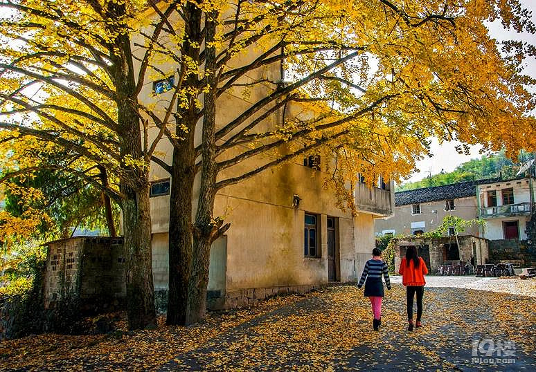 【杭州秋景地圖】秋天杭州景色哪里適合旅游?