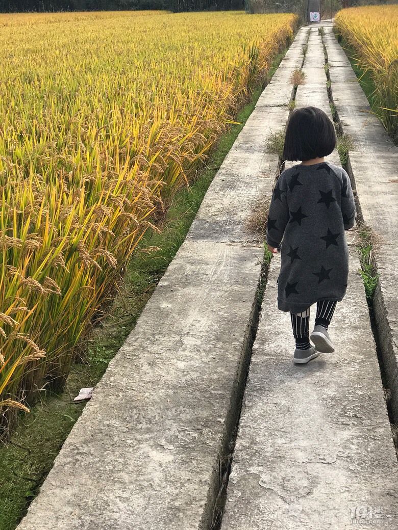 【杭州秋景地圖】秋天杭州景色哪里適合旅游?