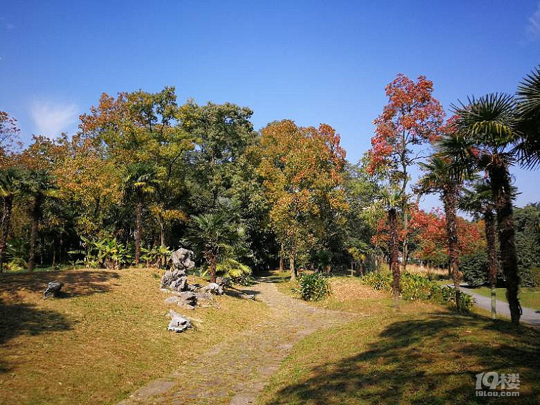 【杭州秋景地圖】秋天杭州景色哪里適合旅游?