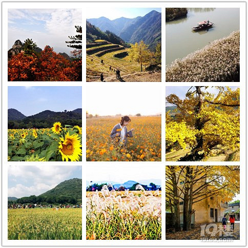 【杭州秋景地圖】秋天杭州景色哪里適合旅游?