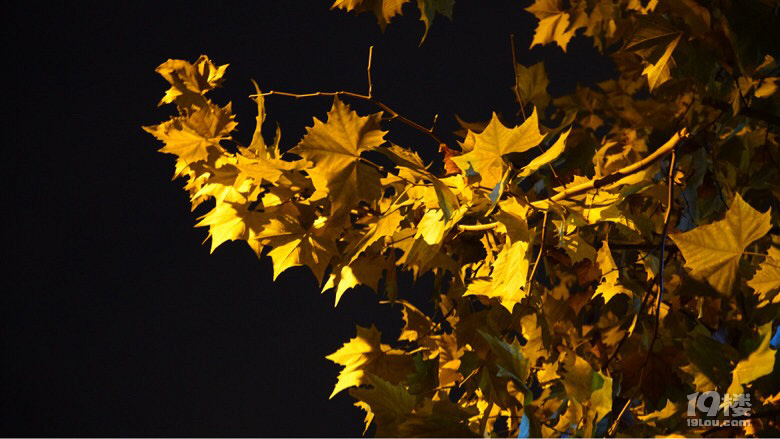 风里雨里我在2012等你-我要爆料-杭州19楼