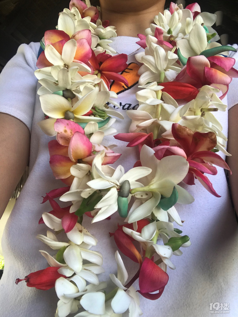 大溪地TAHITI--海岛控的终极梦想之地