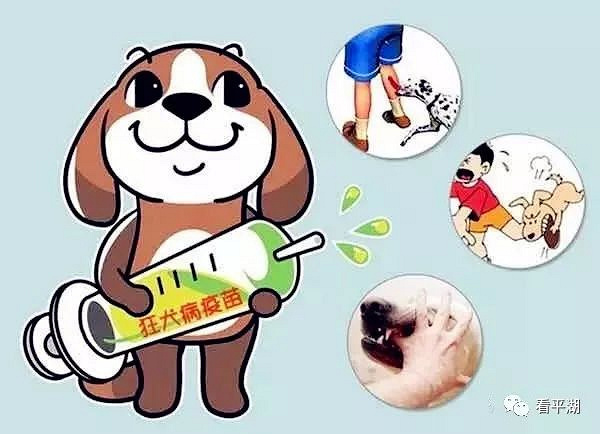 平湖下月起调整最低工资标准;冬季犬类免费注