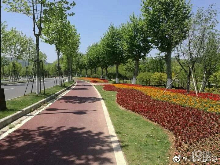 老外在莫干山骑共享单车邂逅最美乡村-结伴同