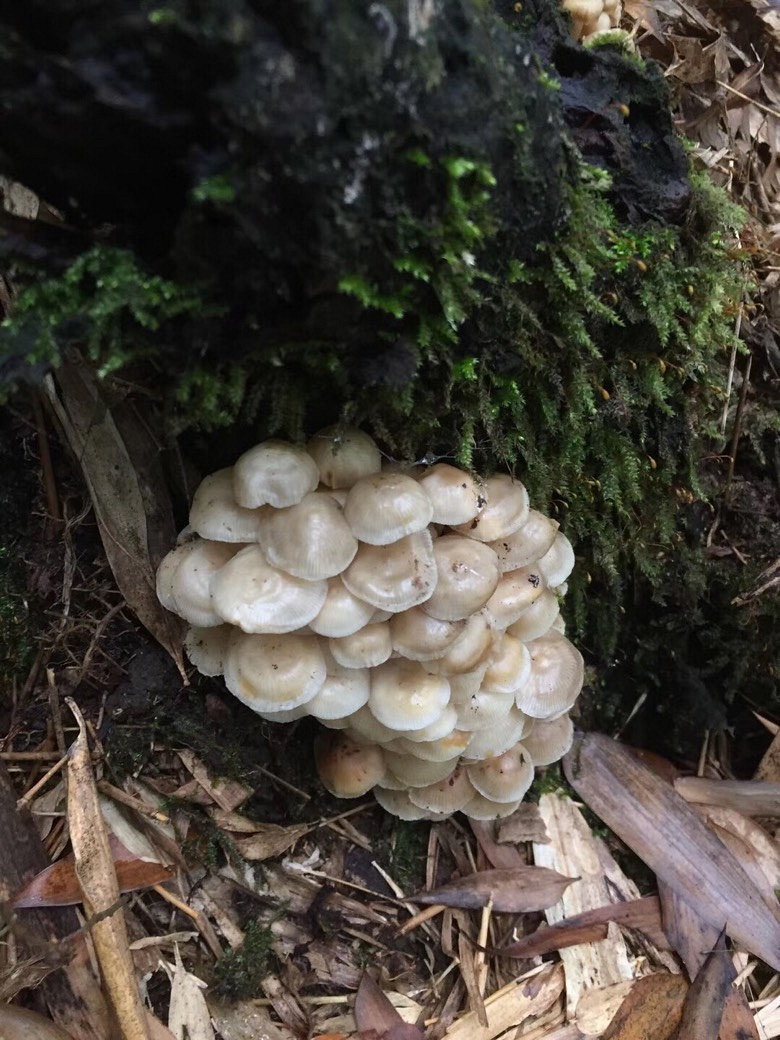 徒步7小时,吹最冷的风走最野的路,记录被登山精附体的一天