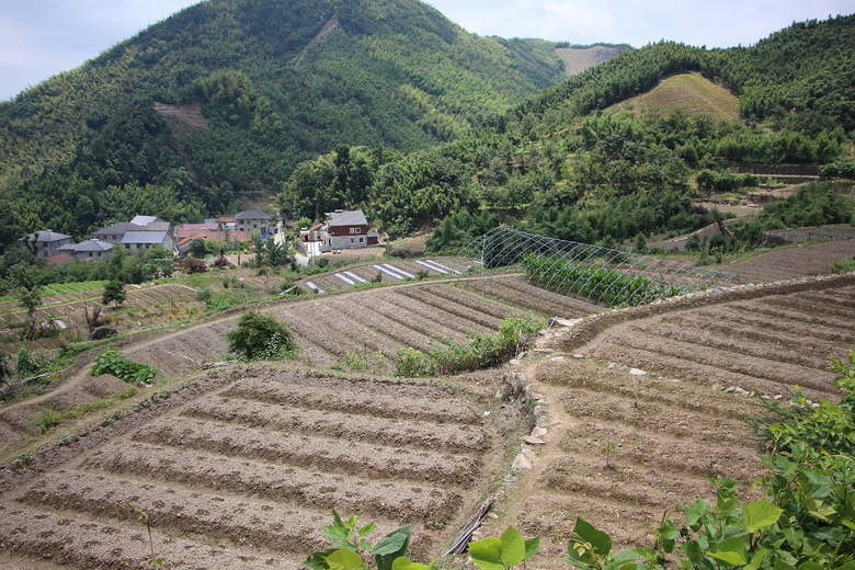 【九张图】打卡 美景(农村风貌)