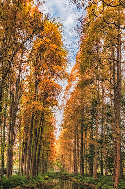 艳丽多彩的城市-风景照-19摄区-杭州19楼