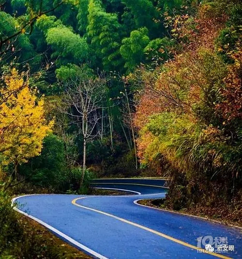 黄山218，安徽最美省道风景路之一，省旅游局来调研沿线旅游了