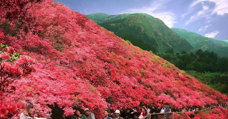 厉害了!武汉哪儿好玩?这个问题有了官方答案-