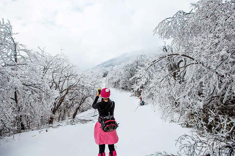 勇闯山巅云海,傲视天目七峰