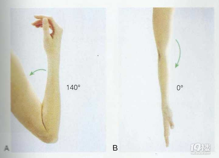 健身基础知识-常用方位关节及运动
