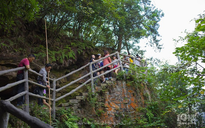 張家界旅游攻略(正確的)張家界山水畫卷湘西4日游