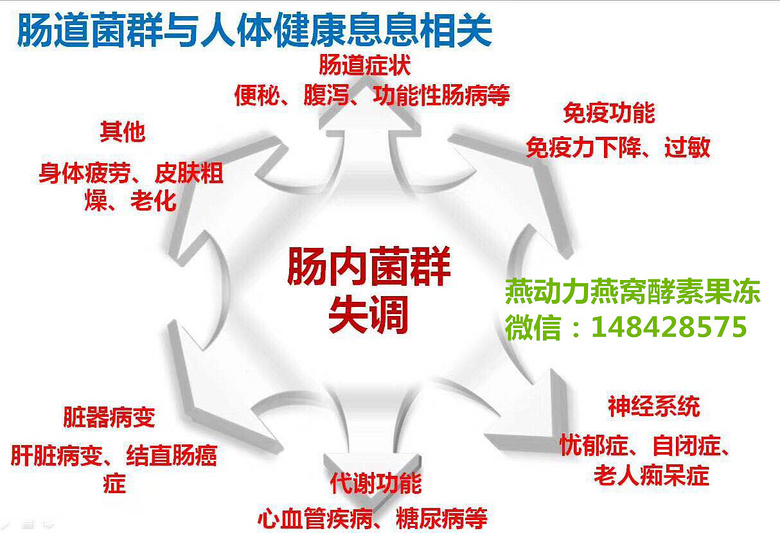 酵素的作用与功效;燕动力燕窝果冻!
