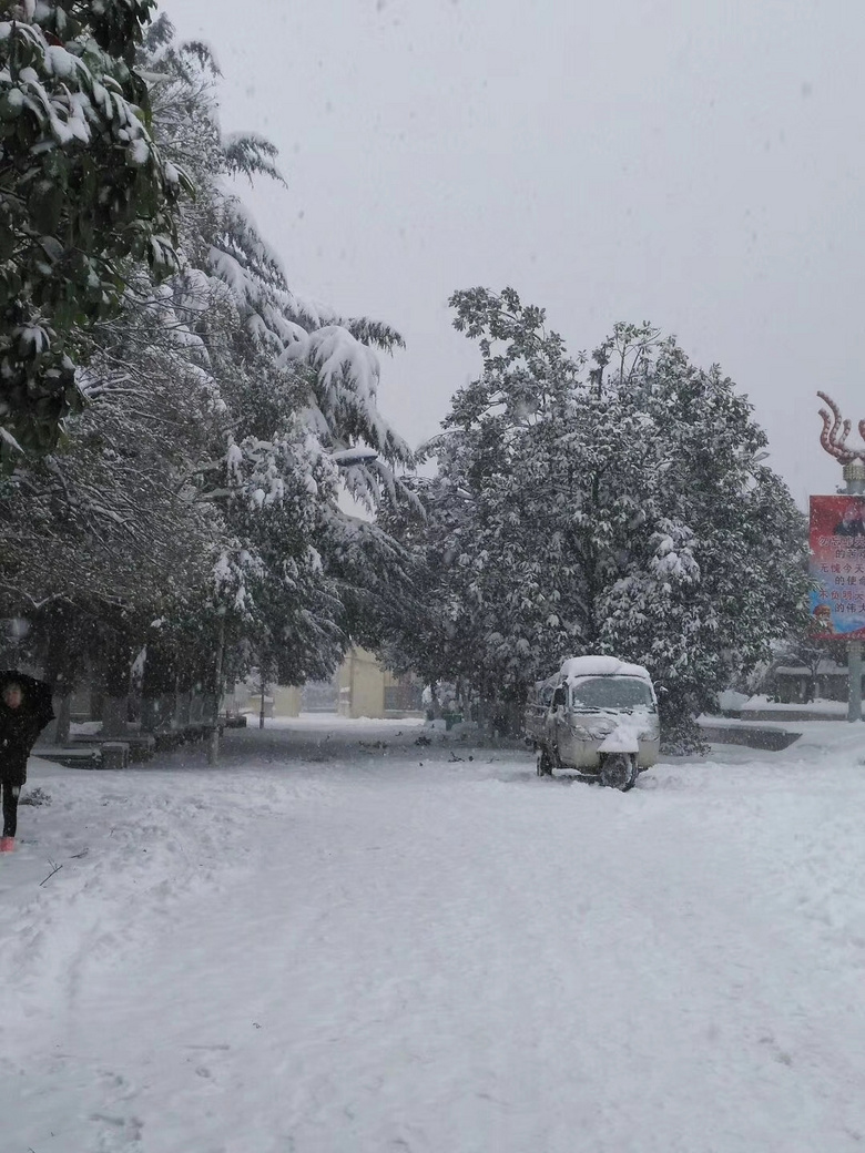 2818年的第一场雪